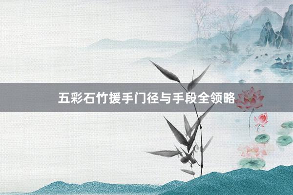 五彩石竹援手门径与手段全领略